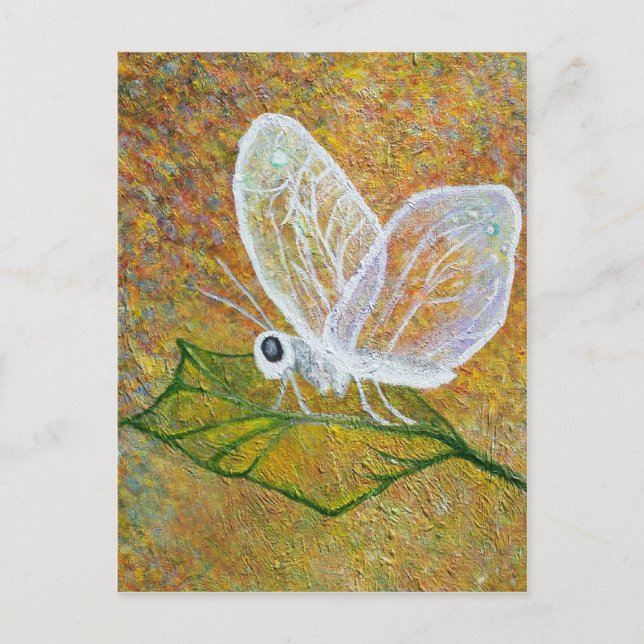 Schmetterling Postkarte (Vorderseite)