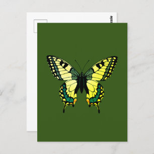 Schmetterling Postkarte