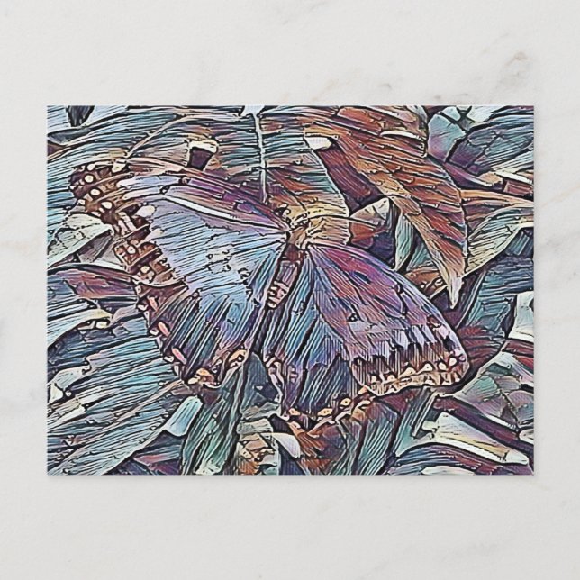 SCHMETTERLING POSTKARTE (Vorderseite)