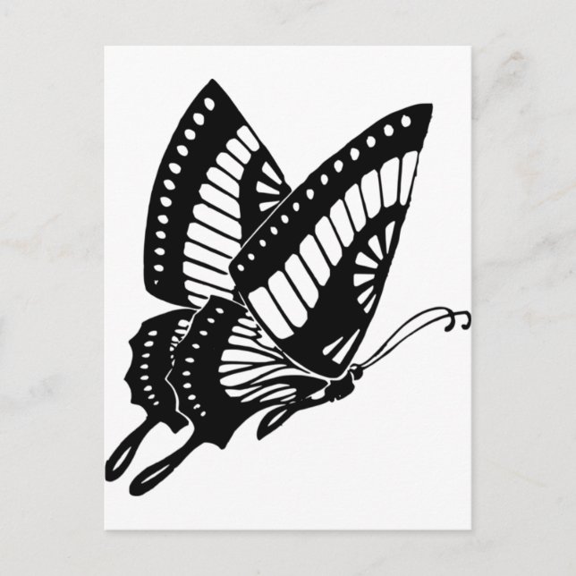 Schmetterling Postkarte (Vorderseite)