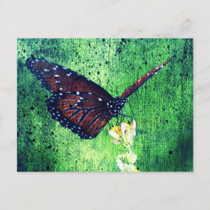 Schmetterling Postkarte