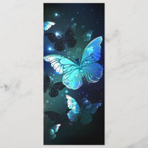 Schmetterling Programm