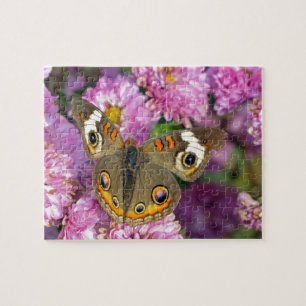 Schmetterling Puzzle