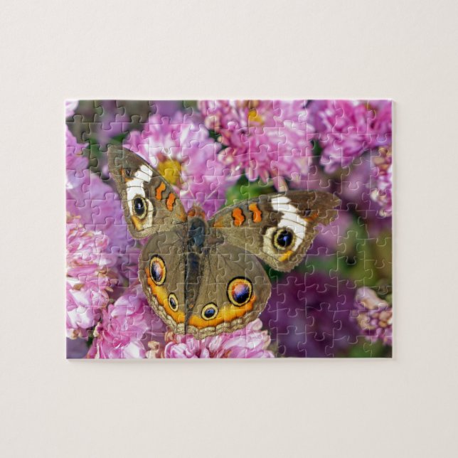 Schmetterling Puzzle (Horizontal)