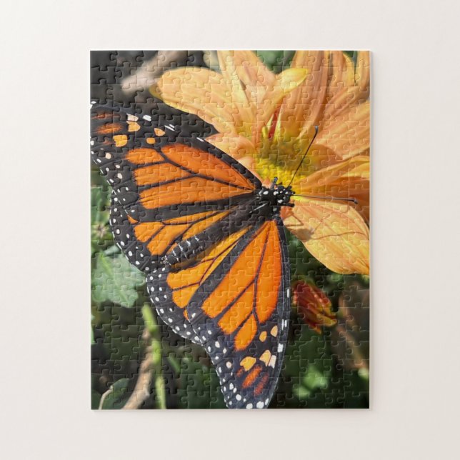 Schmetterling Puzzle (Vertikal)