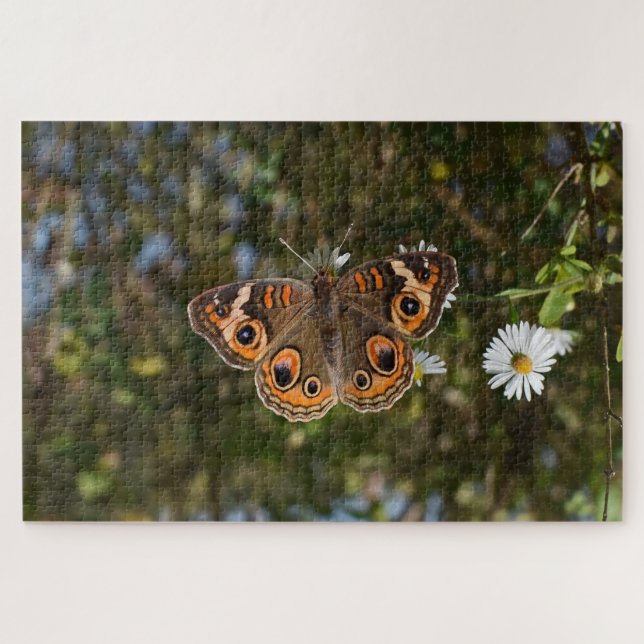 Schmetterling. Puzzle (Horizontal)