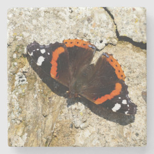 Schmetterling - Roter Admiral Steinuntersetzer