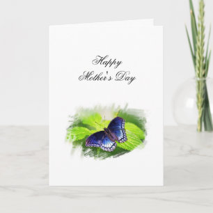 Schmetterling (Rötlich-geschuppter Purpurfalter) M Feiertagskarte