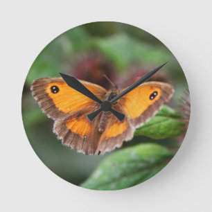Schmetterling Runde Wanduhr