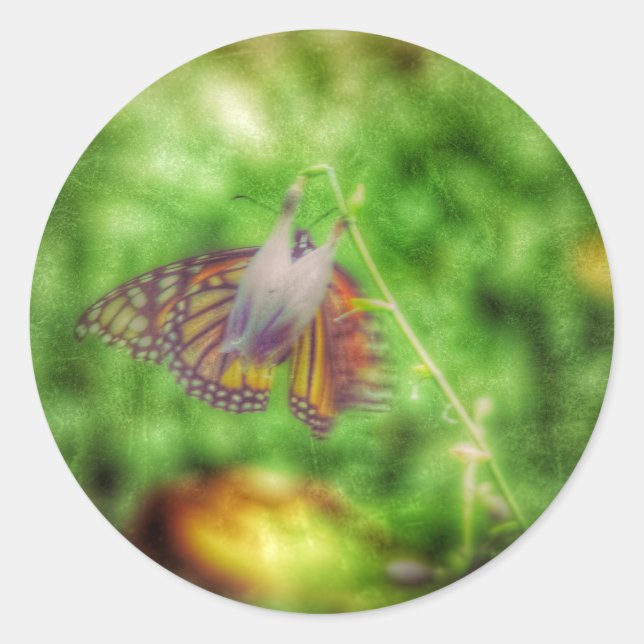 Schmetterling Runder Aufkleber (Vorderseite)