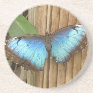 Schmetterling-Sandstein-Getränkeuntersetzer Getränkeuntersetzer