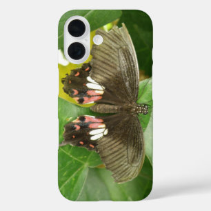 Schmetterling Scarlet Swallowtail iPhone 16 Hülle