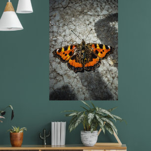 Schmetterling Scheckenfoto Grunge Style Kunst Poster