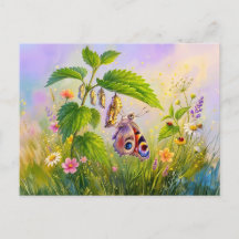 Schmetterling schlüpft aus der Chrysalide auf Bren