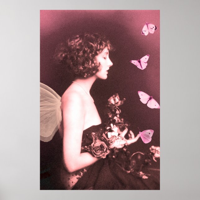 Schmetterling, Schmetterling Poster (Vorne)