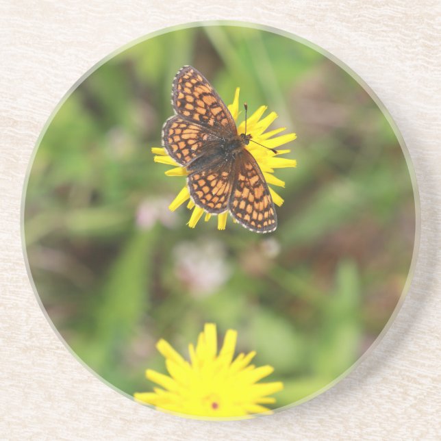 Schmetterling - Schön! Untersetzer (Vorne)