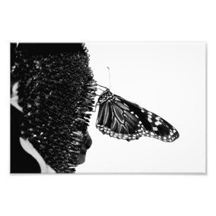 Schmetterling schüchtern blacq fotodruck