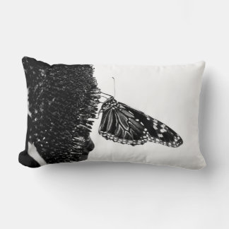 Schmetterling schüchtern blacq lendenkissen