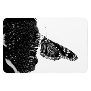 Schmetterling schüchtern blacq magnet