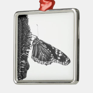 Schmetterling schüchtern blacq ornament aus metall