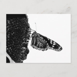 Schmetterling schüchtern blacq postkarte