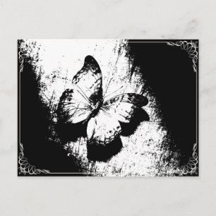 Schmetterling Schwarz-Weiß Postkarte