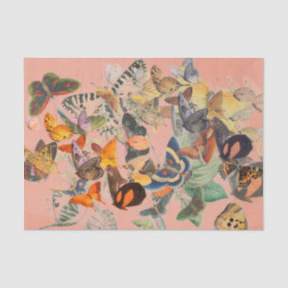 Schmetterling-Seidenpapier Seidenpapier