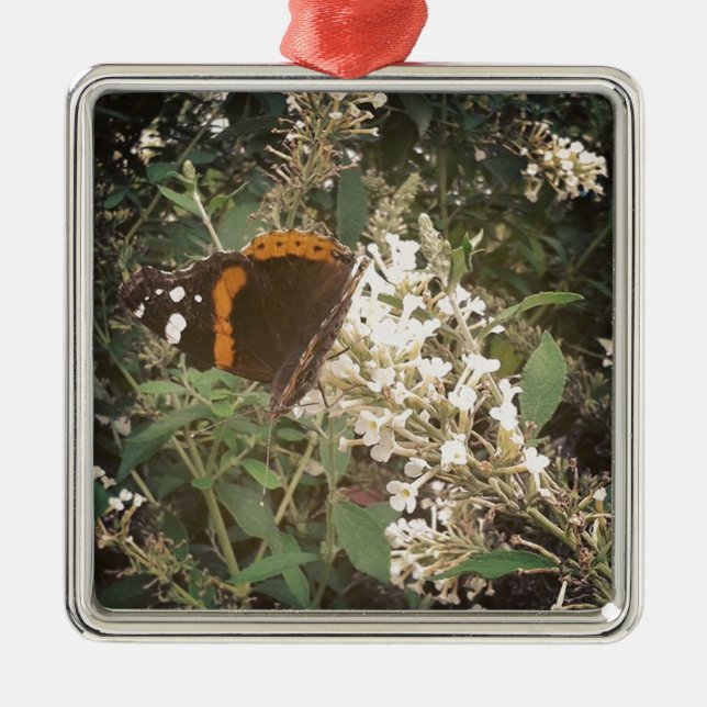 Schmetterling Silbernes Ornament (Vorne)