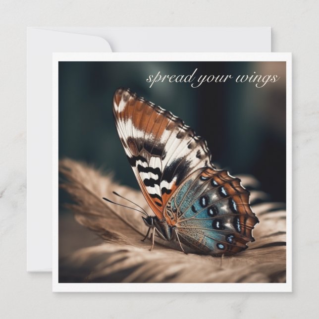 Schmetterling sitzend auf einer weichen Feder (Vorderseite)