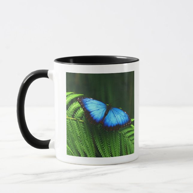 Schmetterling Tasse (Links)
