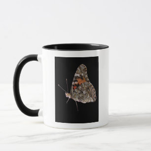 Schmetterling Tasse
