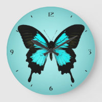 Schmetterling - türkisblau und schwarz