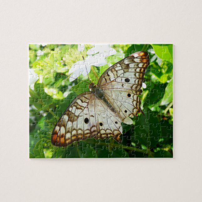 Schmetterling über Jasmine Tropical Nature Fotogra Puzzle (Horizontal)