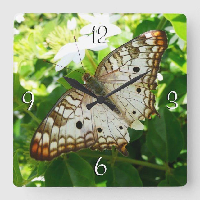 Schmetterling über Jasmine Tropical Nature Fotogra Quadratische Wanduhr (Vorderseite)