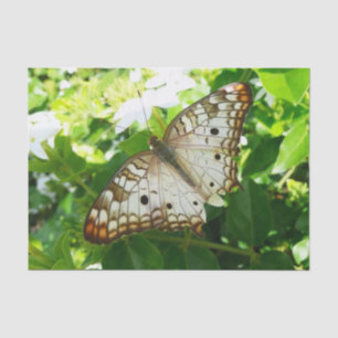 Schmetterling über Jasmine Tropical Nature Fotogra Seidenpapier