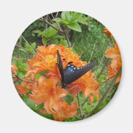 Schmetterling und Azalea Magnet