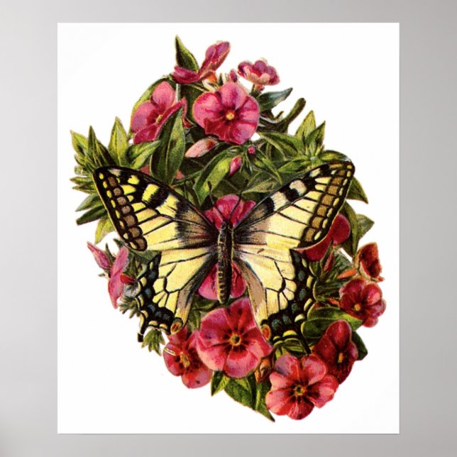 Schmetterling und Blume Anpassbares Poster (Vorne)