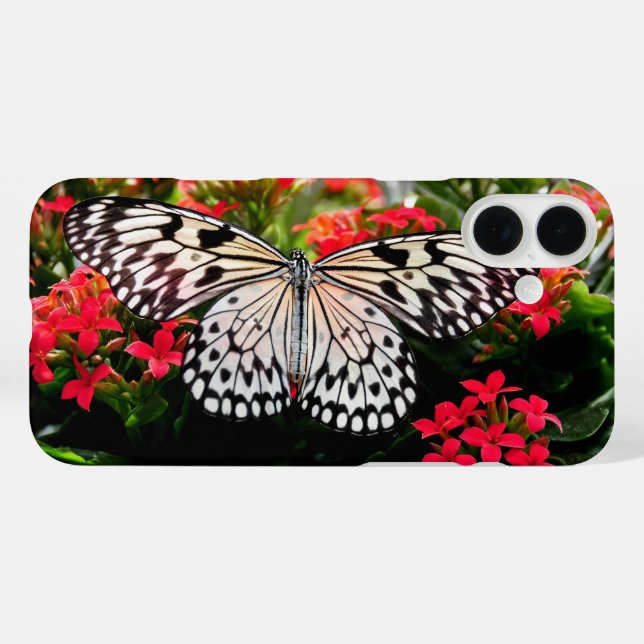 Schmetterling und Blume iPhone/iPad Gehäuse Case-Mate iPhone Hülle (Rückseite (Horizontal))