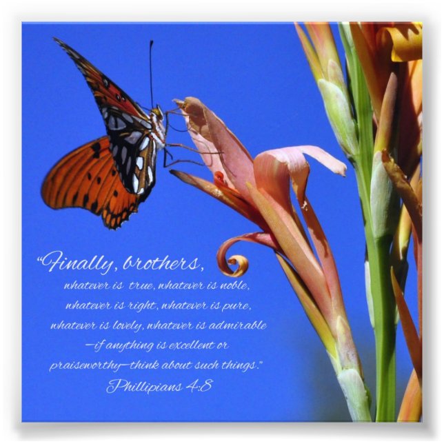 Schmetterling und Blume Phillipianer 4:8 Schrift Fotodruck (Vorne)