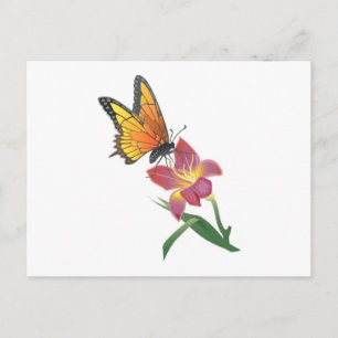 Schmetterling und Blume Postkarte