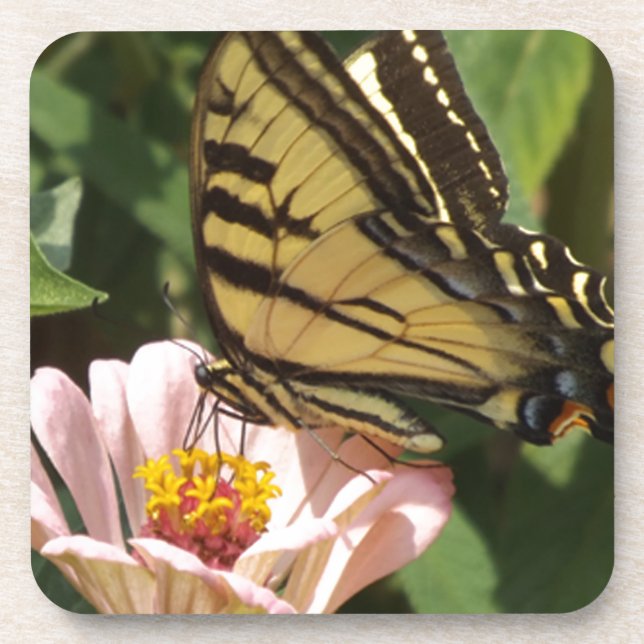 Schmetterling und Blume Untersetzer (Vorderseite)