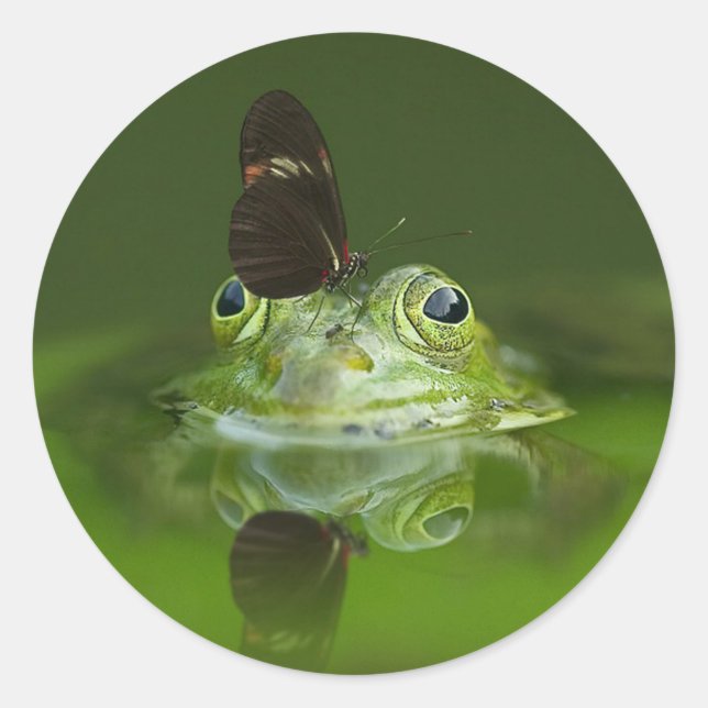 Schmetterling und Frosch Runder Aufkleber (Vorderseite)