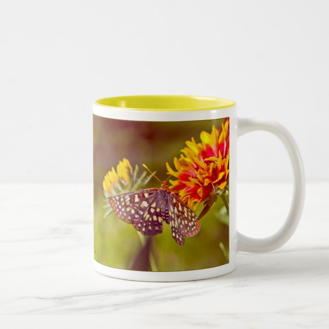 Schmetterling und Gaillardia Zweifarbige Tasse (Rechts)
