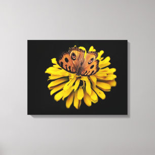 Schmetterling und gelbe Blume Leinwanddruck