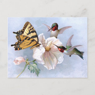 Schmetterling und Kolibris Postkarte