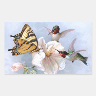Schmetterling und Kolibris Rechteckiger Aufkleber