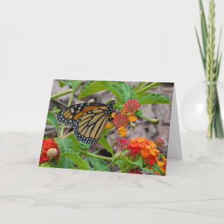 Schmetterling und Lantana Karte