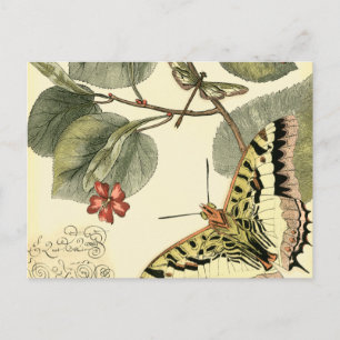 Schmetterling und Libelle mit roten Blume Postkarte