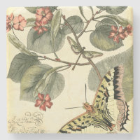 Schmetterling und Libelle mit roten Blume