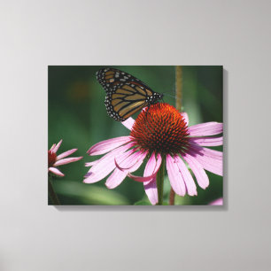 Schmetterling und Lila Kone-Blume Leinwanddruck